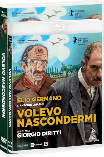 Locandina Volevo nascondermi