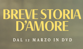 Breve storia d'amore